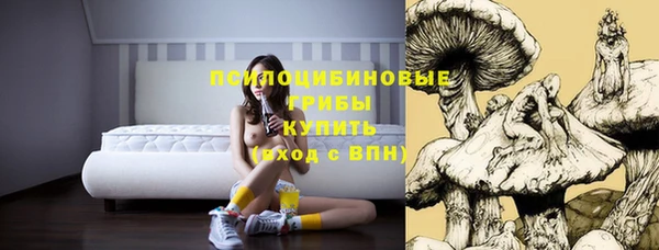 ешки Кинешма