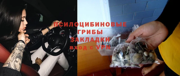 спиды Киреевск