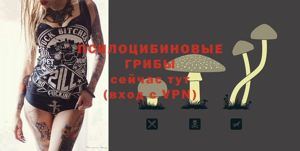 ешки Кинешма