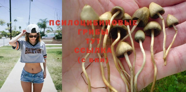 винт Киренск